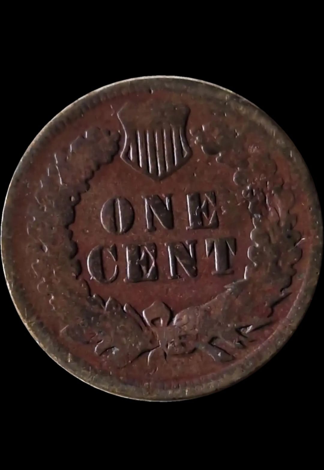 1C 1905 - obrazek 2