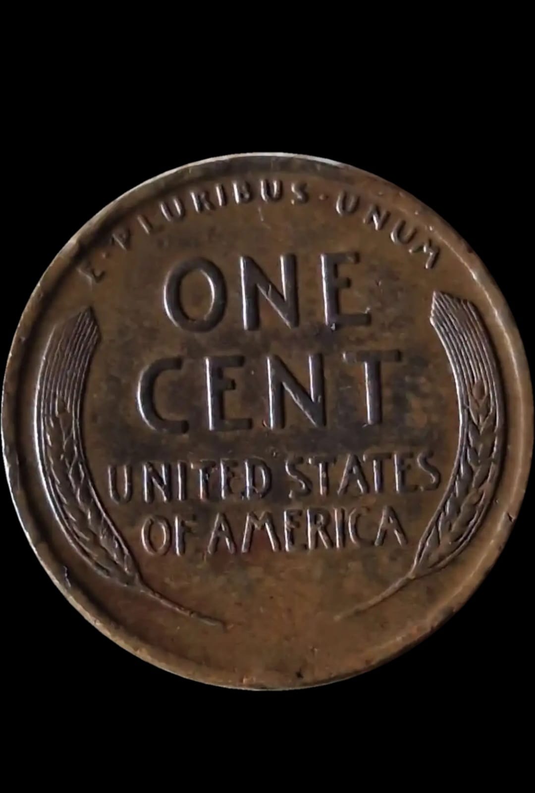 1C 1909 - obrazek 2